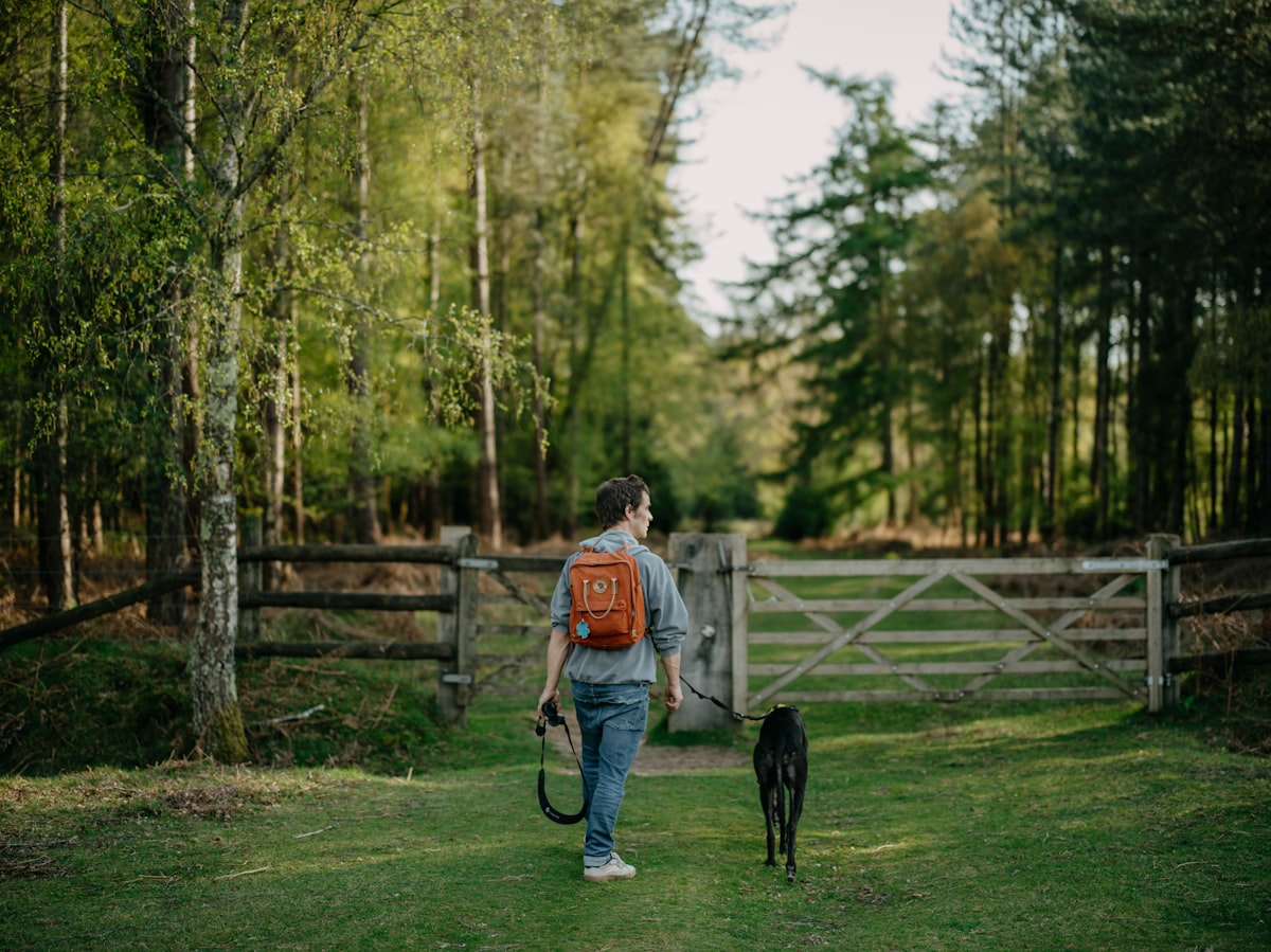 Person walking dog on leash through countryside — hands-free leash lifestyle